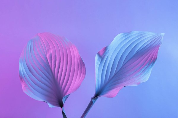 Les Innovations en Outils de Gestion de Contenu