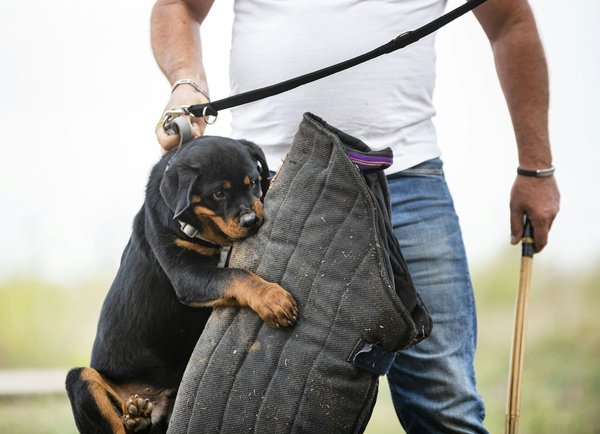 L'importance de la sécurité des réseaux en entreprise